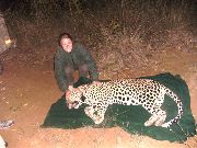 Felicity with a darted cheetah
